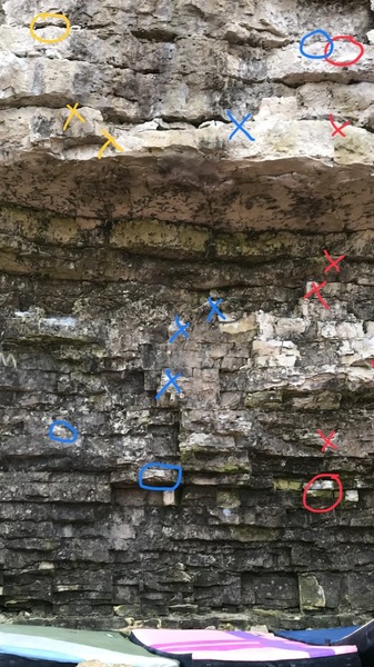 Holds in blue.