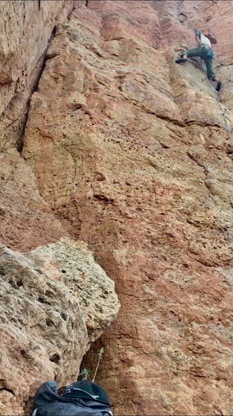 Clipping the 4th bolt on LaCholla Jackson.