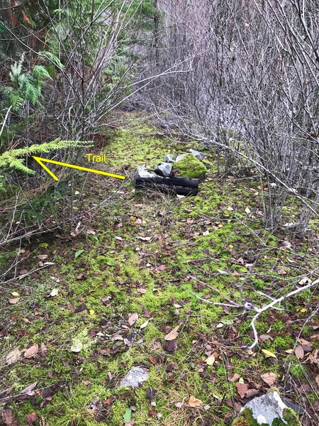 Turn left at log to follow trail and avoid loose scree field.
