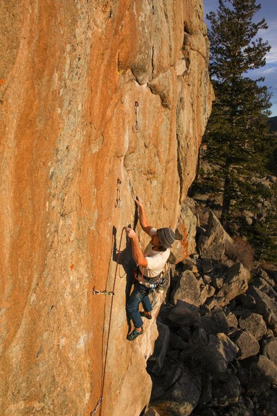 Todd Bol clipping from the dike.