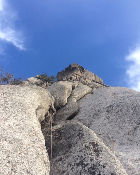 Looking up pitch 1. Photo: Mark Evans