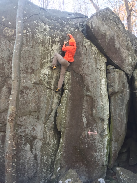 when it's hunting season, wear orange :-)