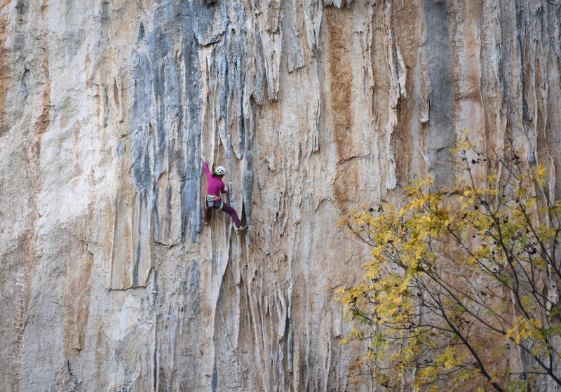 Alison Fritz on the lower portion of kneebaropoulos