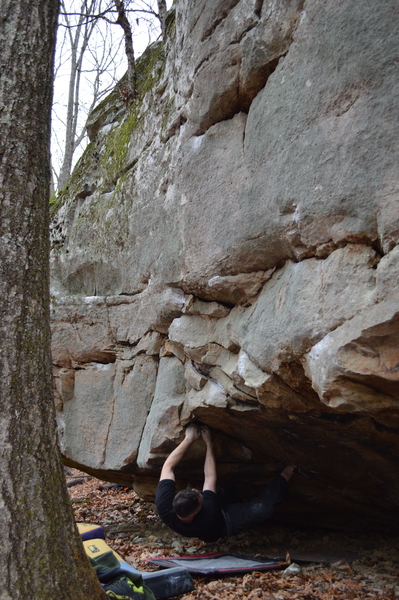 Cogie exiting the roof of Cayuse