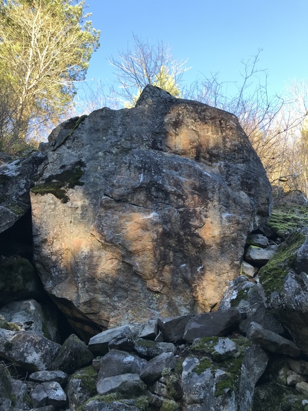 Shark tank boulder