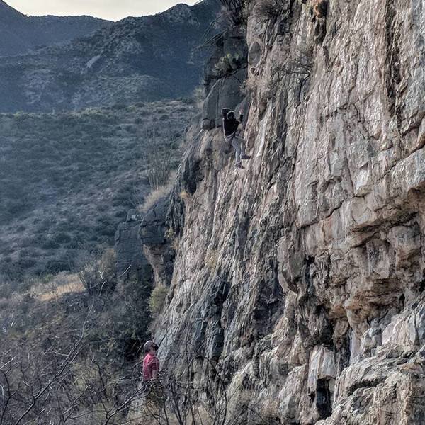 Evangeline lowering on 101.