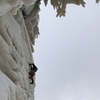 Will Mayo leading the spectacular final pitch of Dreamline.