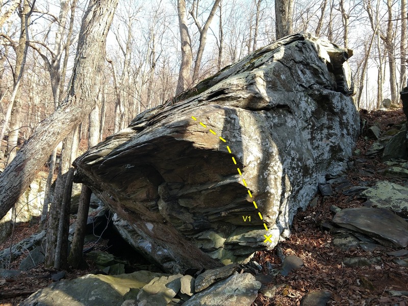 Cranial Creator Boulder (side)