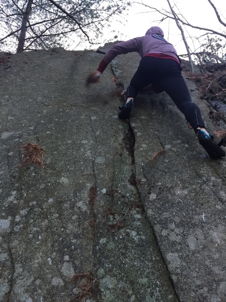 It could indeed be bouldered. So much leafy debris though....