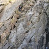 Ian Harris leading the hueco pitch (P1). Forrest Wilcox belaying.