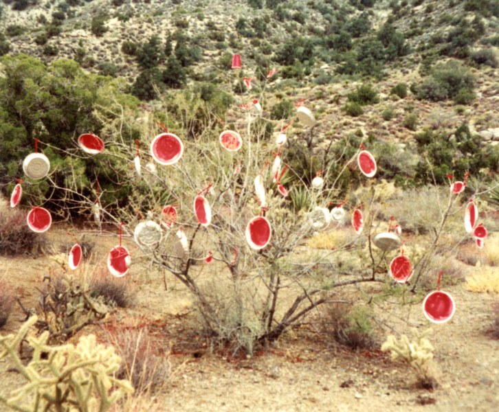 Not all Juniper Trees are decorated at the pass, one can find a peanuts version decorated somewhere out there.