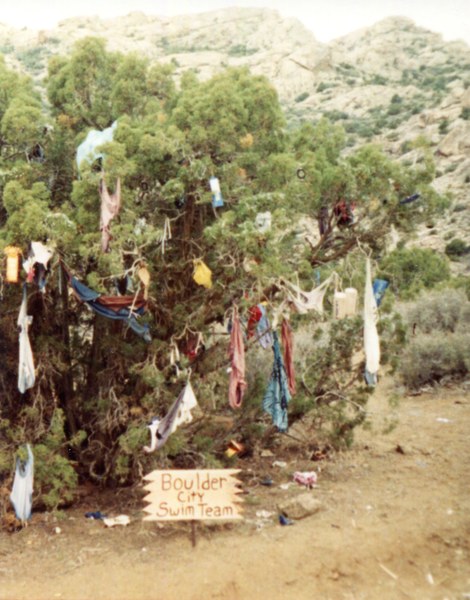 Wind striks havoc with Boulder City Swim Teams decorated tree (Note: Sense 1990 locals clean off their tree at the end of the holidays).