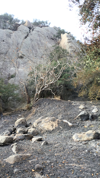 There is evidence of a significant controlled burn conducted at the base of the crag, prior to the wall of the Thomas Fire racing down the canyon.