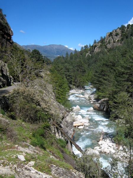 The Restonica river (with road and Picellu crag to the left) from the parking spot.