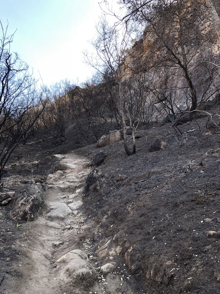 The trail in after the fire