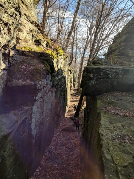 Approaching the main wall. JBN on the left at the bottom under the maple tree