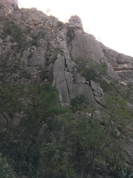 Tami's Pillar