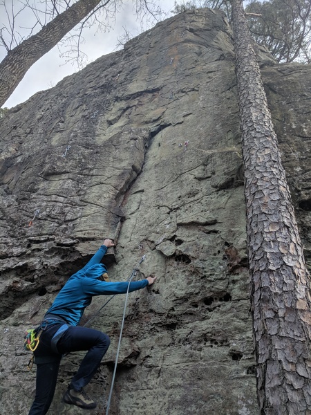 Climb the bolt line on far right of the wall and nearly intersects with the tree near the top.