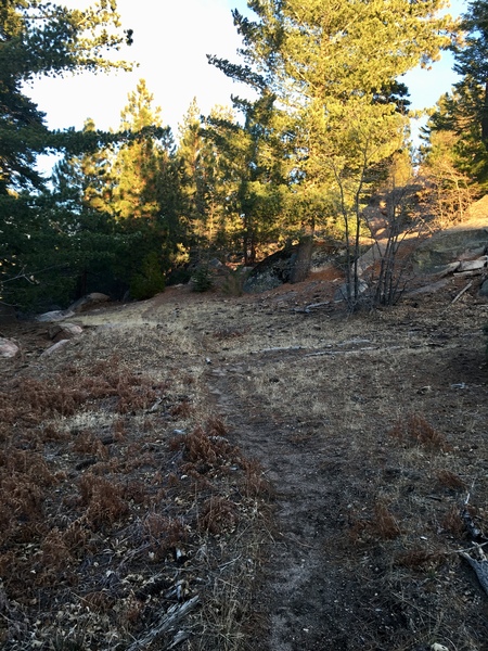 Rock Climbing in Crow's Nest, San Bernardino Mountains