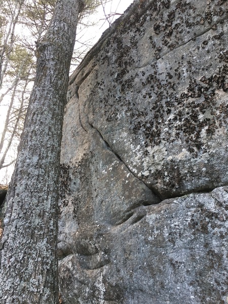 Another angle.