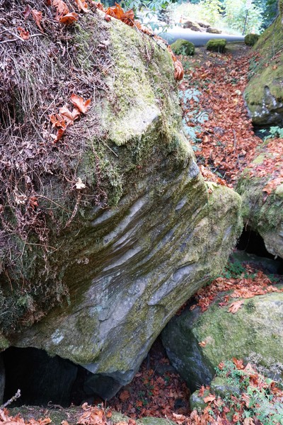 Radical Edwards in September 2017. Went looking for this problem, but it needs a cleaning.