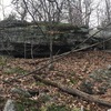 Short, vegetated ledge that has a small cave - the floor covered with porcupine scat.