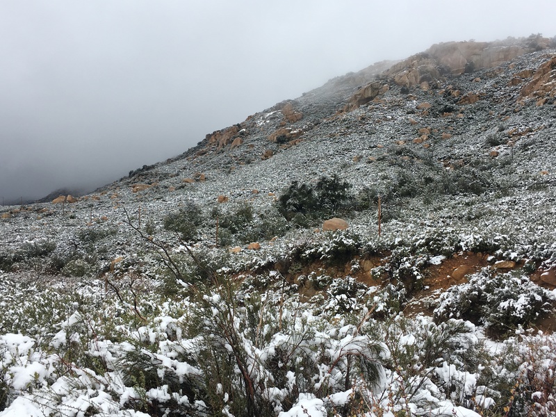 A beautiful but short-lived view of the wall and boulders. 2/27/2018