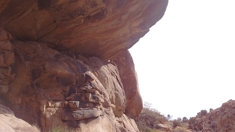 The roof