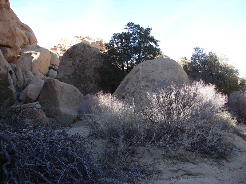 This is what you see as you approach the triads. Walk around until its easy to get in.