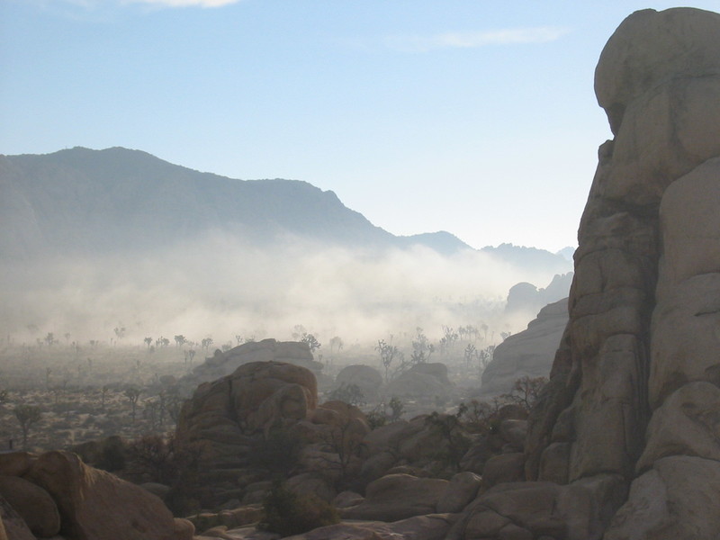 Fog in the valley, Joshua Tree NP