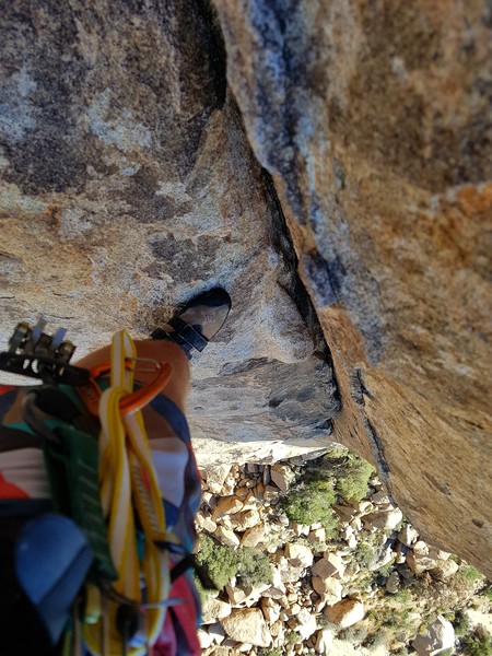 Dihedral on 2nd/3rd pitch of dappled mare