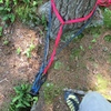 TR protection at the top advisable, pretty clean belay through crack, no drag