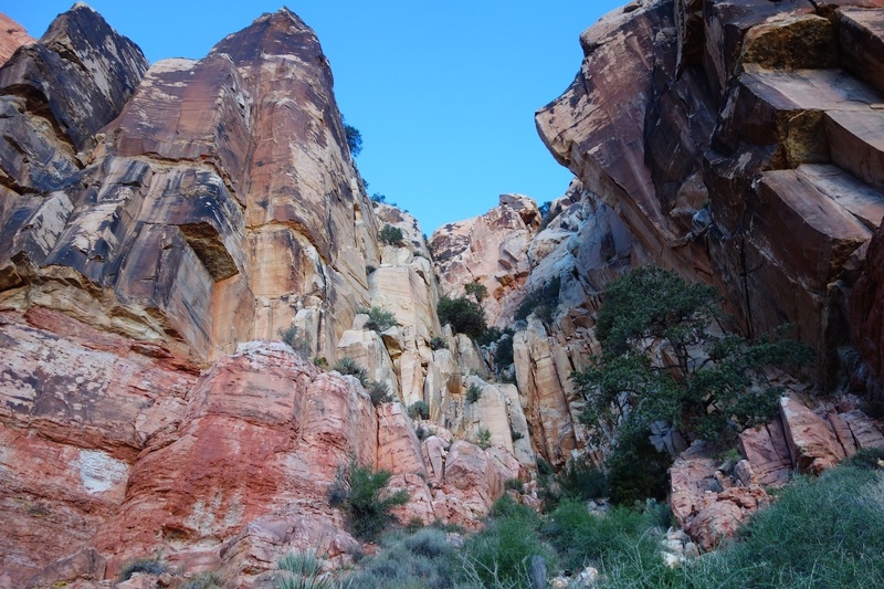 Approach: White Rot Gully.