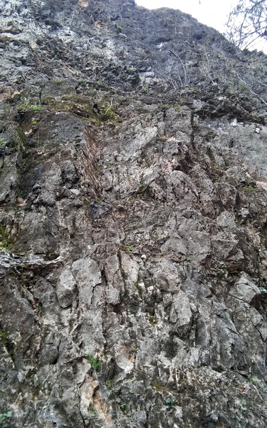 At the bottom of Beehive
