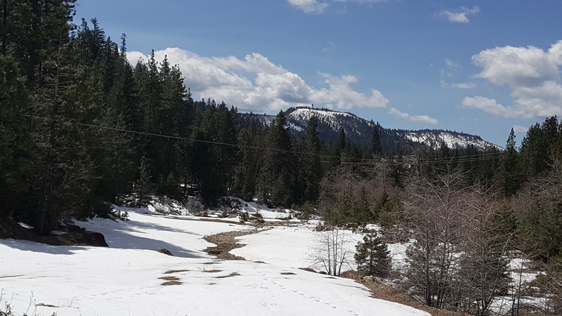 April 2 2018 approach to Steel Monkey