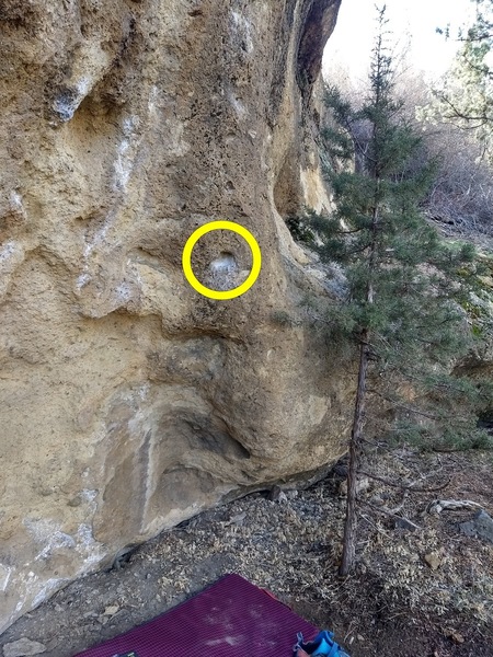 Start matched on the chalked pocket by the tree