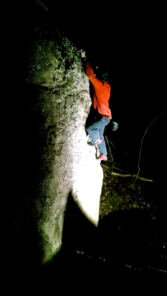 Dan about to top out.