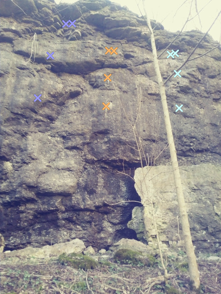 Pyrrhactia isabella 5.10, Digitalis 5.11d then Coon Scat 5.10a just right of tree The start to Digitalis seeps a little.