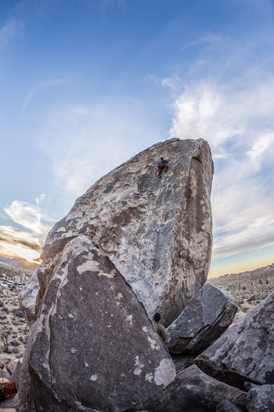 Cryptic at sunset
