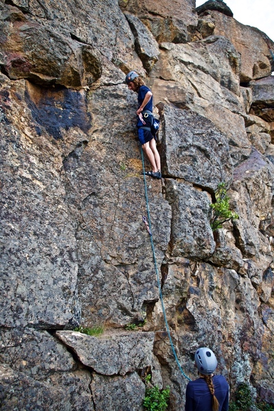 Large ledges make spots for easy clipping