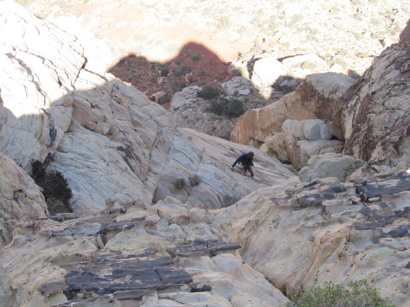 Gokul, last pitch