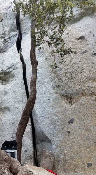 A clear view of 2/3 of the crack