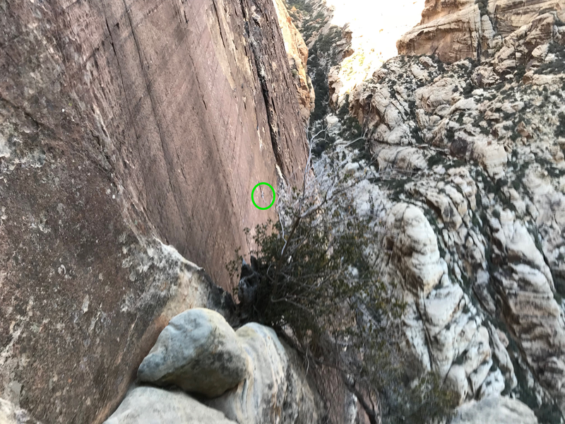 Rap anchors viewed from the top of P2 belay tree