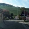 From here, in Hindenburgstrasse, head directly up into the vineyards to the Saengerheim parking lot