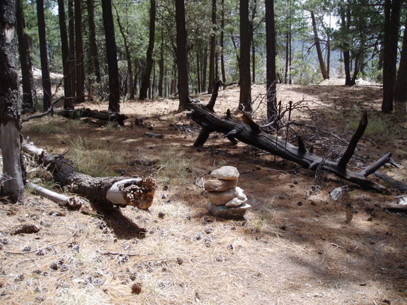 Cairn about 10 min. "in". Go straight for Outcroppings, go Left for Boy Scout Wall