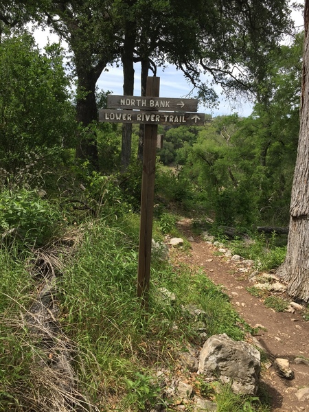 First signpost on the North Shore trail. Take Lower River Trail to The Dude and Unleashed walls. Take North Bank trail for all other walls.