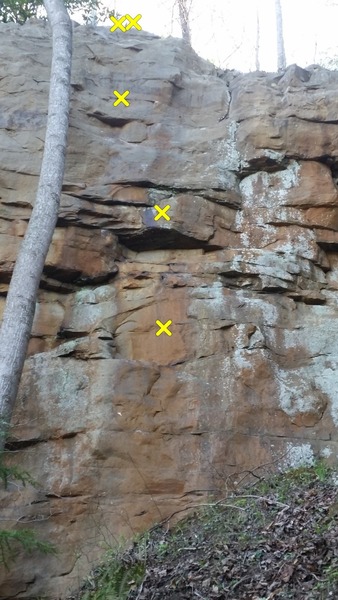 topo