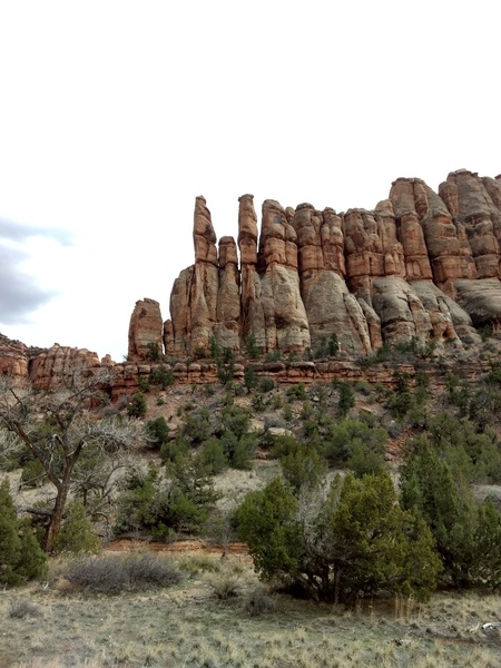 Of the two skinny towers, Cigar is on the right.