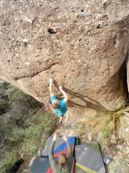 THE GRINCH V5