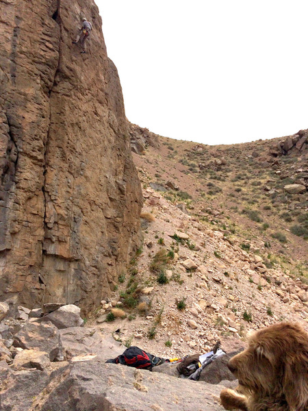 Levi chillin' while Marty works on a new .11